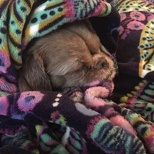 Meet your Posher, Jackie